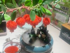 -奔跑吧陕菜·盛世长安(民乐园万达店)