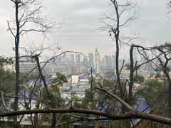 -岳麓山风景名胜区