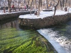 水草-水磨沟公园