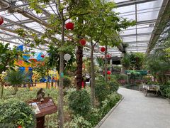 -南宫五洲植物乐园