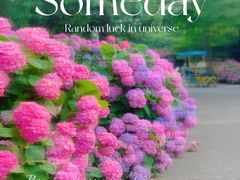 -上海滨江森林公园