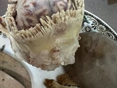 -洪记白水羊头(天坛店)