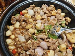 -三强鸽子(胜利路店)
