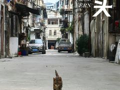 -汕头市小公园