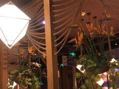 -云海肴·汽锅鸡·云南菜(天津国金汇店)