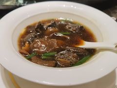 -甄御•海鲜新青岛菜(麦岛店)