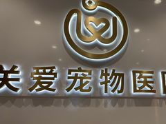 -关爱宠物医院·猫科中心·消化科(滨湖万达分院)