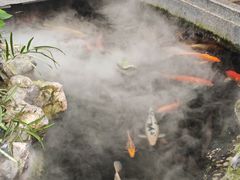 -小榄公饭店·岭南庭院餐厅(民安北路店)