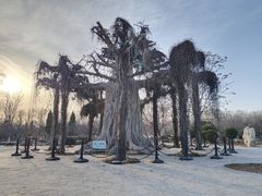 -石家庄市植物园