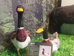 -房山世界地质公园博物馆