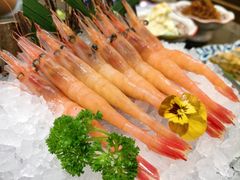 -德川家日本料理(华堂·新辰汇店)