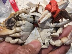 -王潮活海鲜自助·蒸汽海鲜