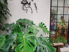 -dokidoki