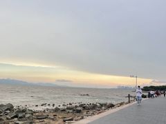 -深圳湾公园(南山区)