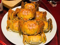 -沪碟·精菜坊(闵行店)