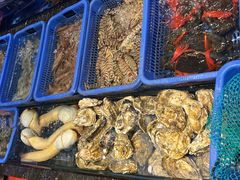 -吴记富苑(朝阳店)