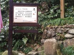 -宁海森林温泉