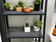 -沪上阿姨·精选茶饮(燕郊富地广场店)