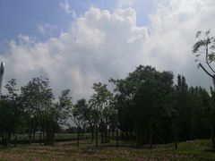 -白鹭湾湿地公园