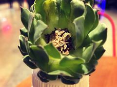 -捞王猪肚鸡火锅(昆山店)