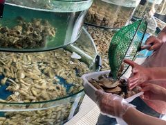 -蓝珊甄选海鲜自助·火锅大排档(近阿那亚店)