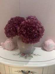 -北京俪婴妇产医院(朝阳大悦城店)