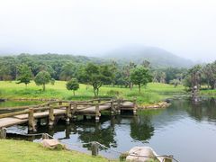 -普陀山风景名胜区-千步大沙