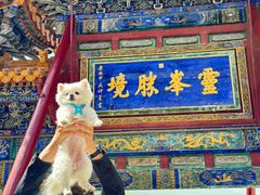 -五台山风景名胜区