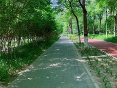 -大兴滨河森林公园