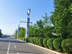 -丁香湖公园