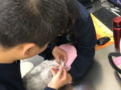 -喜多萌中农锦绣动物医院24H·猫科·牙科MRI·CT