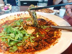 -胖大姐黄辣丁鱼庄(新津店)