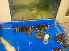 -新洪记·丽久饭店(铁西店)