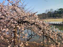-白塘生态植物园