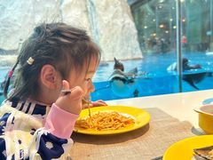 -帝企鹅自助餐厅•儿童岛•真企鹅(长隆企鹅酒店)