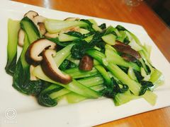 香菇青菜-9号小厨师(端平桥店)