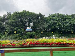 -广州长隆飞鸟乐园