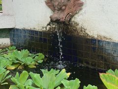 -青青世界