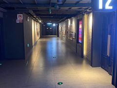 -新影联·华谊兄弟影院(望京店)