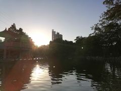 -晓港公园