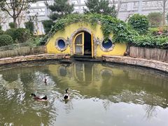 -南宫五洲植物乐园