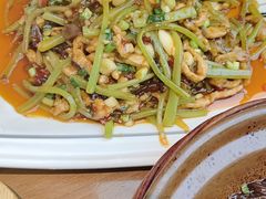 -有红鸡毛店·川菜(建设路店)