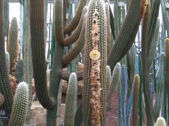 -南通洲际绿博园