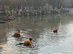 -莲池书院博物馆