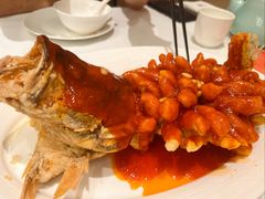 松鼠桂鱼-洋洋中餐馆·SINCE 1997(龙湖星湖天街店)