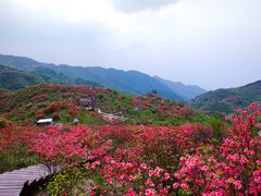 -大围山国家森林公园
