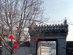 -春风习习