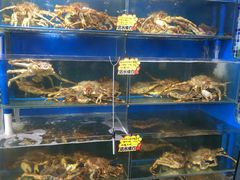 -蚝专家(北滘店)
