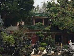 -广东圆玄道观