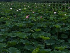 -重元寺香积厨素斋馆